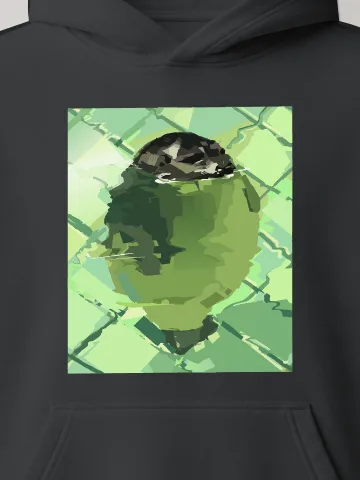 Pocket Raccoon Hoodie
